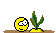 Rübe :ruebe:
